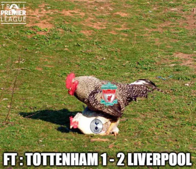 陈涛：很遗憾没从自己手中保级，但结局还好不辱使命